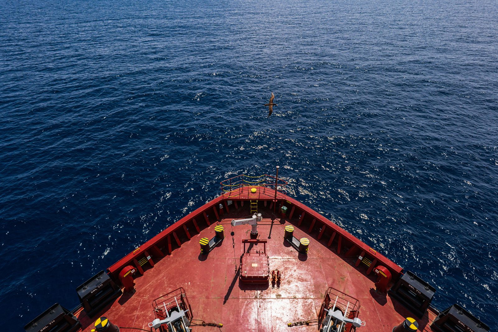 Looking down on the bow with a bird flying over deep blue water